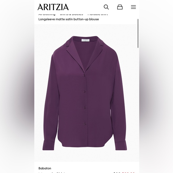 Babaton Tops - Aritzia Babaton Monocle button-up blouse